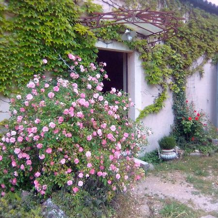 مبيت وإفطار LʼIsle-sur-la-Sorgue Le Domaine De Belle المظهر الخارجي الصورة
