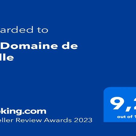 مبيت وإفطار LʼIsle-sur-la-Sorgue Le Domaine De Belle المظهر الخارجي الصورة