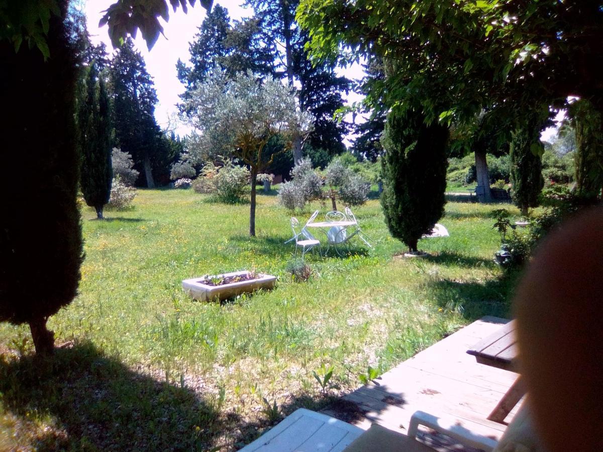 مبيت وإفطار LʼIsle-sur-la-Sorgue Le Domaine De Belle المظهر الخارجي الصورة